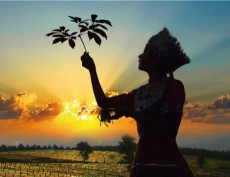 吃三七要在什么年齡，又有什么好處？?