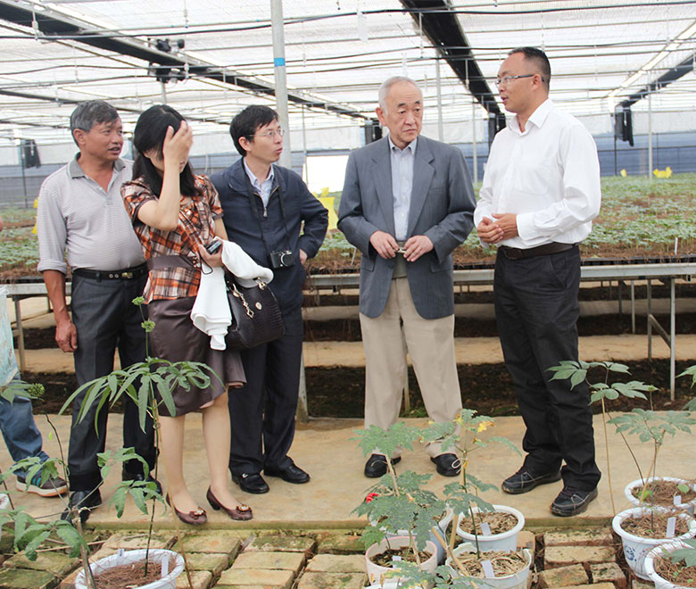 苗鄉(xiāng)三七與中藥全球化聯盟合作