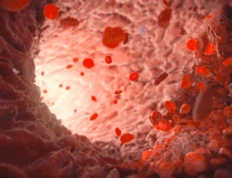 為什么三七被稱為“血管清道夫”？