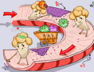 血瘀體質(zhì)的表現(xiàn)與癥狀，如何用三七活血化瘀