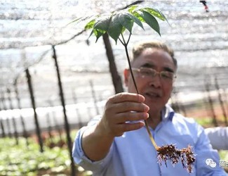 張伯禮院士這樣說(shuō)三七！