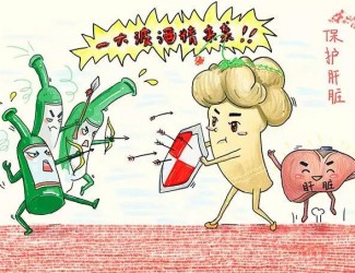 春季養(yǎng)肝正當(dāng)時(shí)，三七保肝有奇效