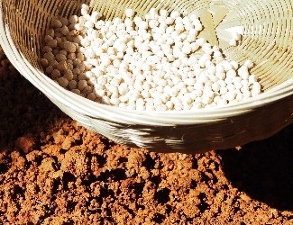 三七的一生——建棚、播種（二）