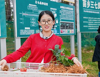 苗鄉(xiāng)三七良種喜獲豐收?。?！