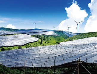 董林林博士如何看待苗鄉(xiāng)全產業(yè)鏈品控管理體系？