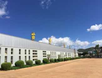 見證：一株三七的卓越“出廠歷練”